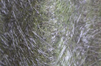 Tintwistle fibreglass roof work